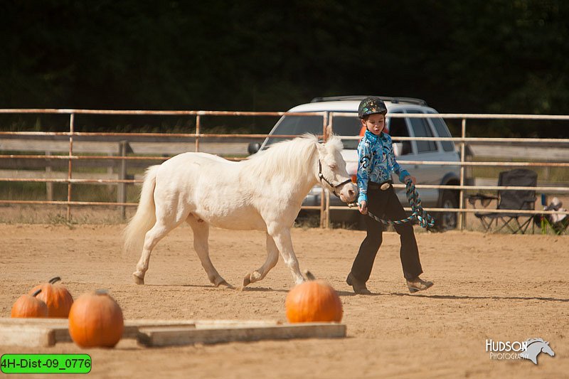 4H-Dist-09_0776.jpg