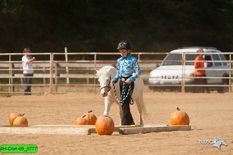 4H-Dist-09_0777.jpg