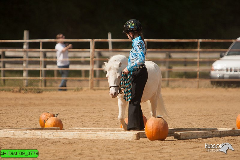 4H-Dist-09_0778.jpg