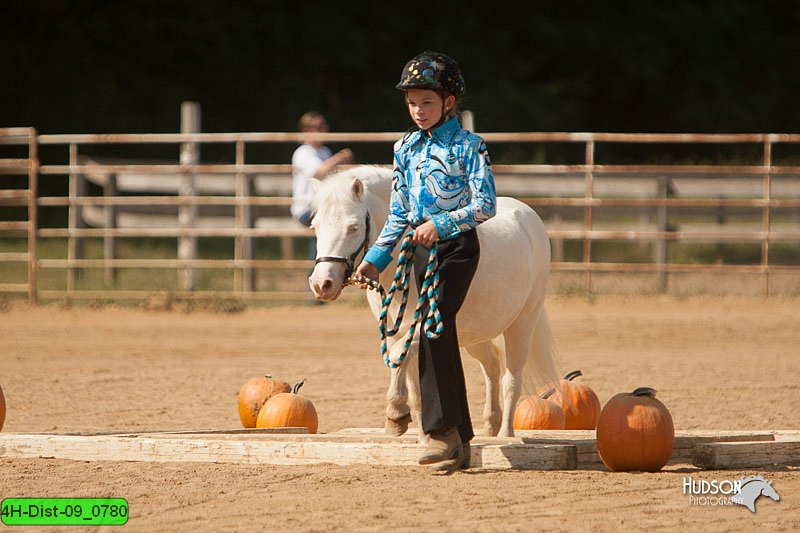 4H-Dist-09_0780.jpg