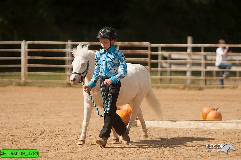 4H-Dist-09_0781.jpg