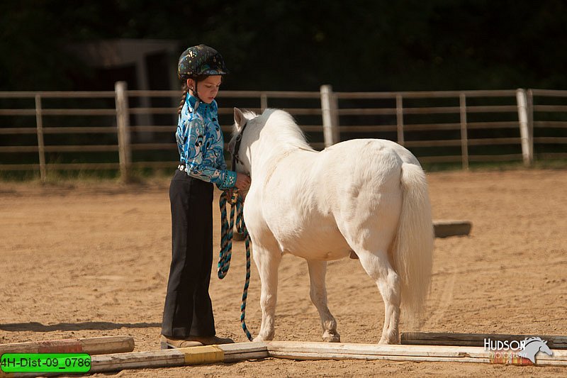 4H-Dist-09_0786.jpg