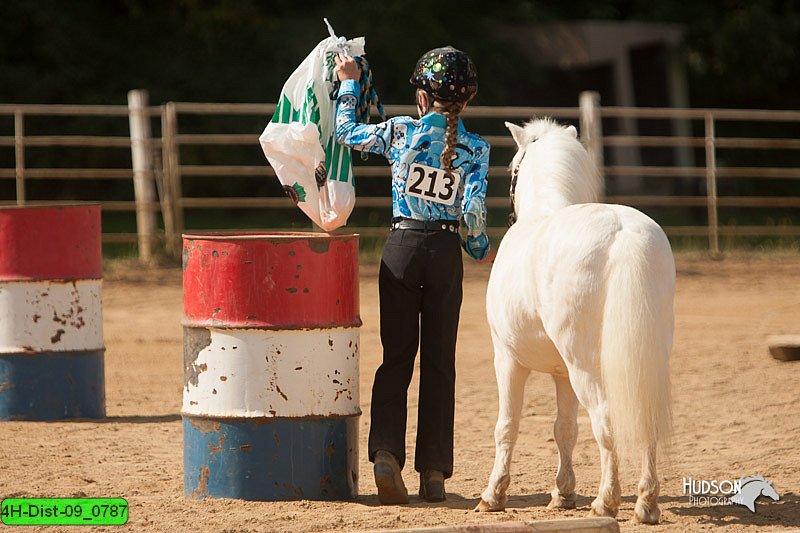 4H-Dist-09_0787.jpg