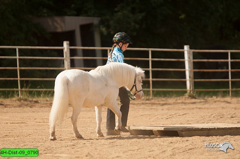 4H-Dist-09_0790.jpg