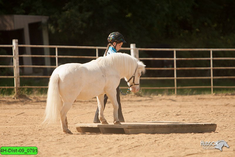 4H-Dist-09_0791.jpg