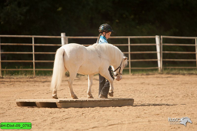 4H-Dist-09_0792.jpg