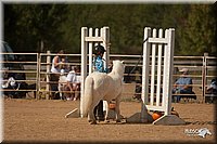 4H-Dist-09_0766.jpg