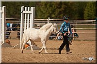 4H-Dist-09_0768.jpg