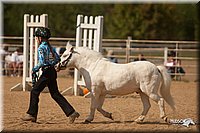 4H-Dist-09_0769.jpg