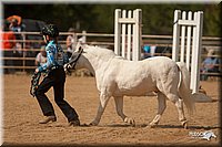 4H-Dist-09_0770.jpg