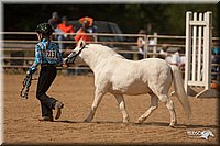 4H-Dist-09_0771.jpg