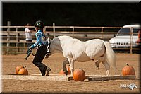 4H-Dist-09_0773.jpg
