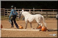 4H-Dist-09_0774.jpg