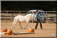 4H-Dist-09_0776.jpg