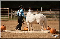 4H-Dist-09_0779.jpg