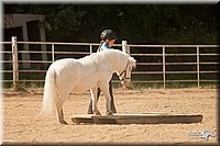 4H-Dist-09_0791.jpg
