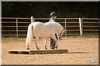 4H-Dist-09_0792.jpg