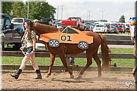 4H-LC-Fair-09_0820.jpg