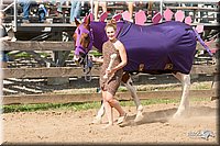 4H-LC-Fair-09_0843.jpg