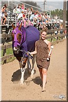 4H-LC-Fair-09_0872.jpg