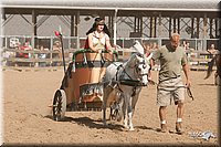4H-LC-Fair-09_0875.jpg