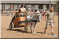 4H-LC-Fair-09_0877.jpg