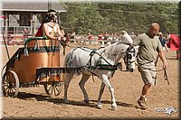 4H-LC-Fair-09_0878.jpg