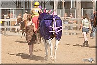 4H-LC-Fair-09_0932.jpg