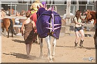 4H-LC-Fair-09_0934.jpg