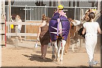 4H-LC-Fair-09_0935.jpg