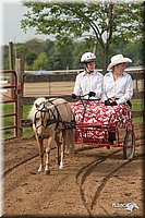 4H-LC-Fair-09_0173.jpg