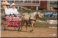 4H-LC-Fair-09_0177.jpg