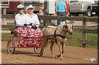 4H-LC-Fair-09_0178.jpg