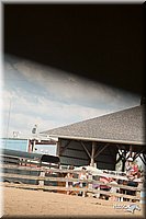 4H-LC-Fair-09_0787.jpg