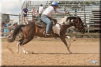 4H-LC-Fair-09_0809.jpg