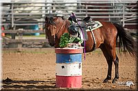 4H-LC-Fair-09_0077.jpg