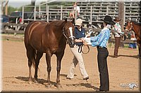 4H-LC-Fair-09_0108.jpg