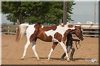 4H-LC-Fair-09_0113.jpg