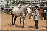 4H-LC-Fair-09_0123.jpg