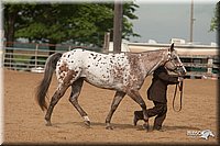 4H-LC-Fair-09_0130.jpg