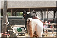 4H-LC-Fair-09_0453.jpg