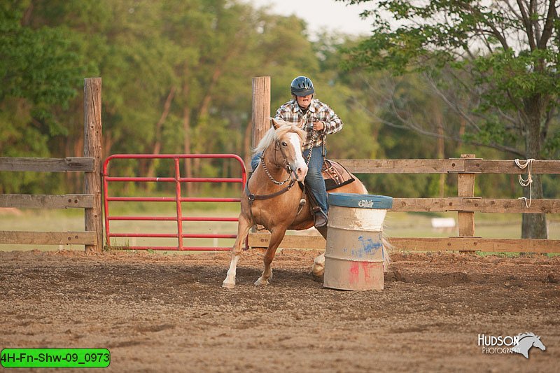 4H-Fn-Shw-09_0973.jpg