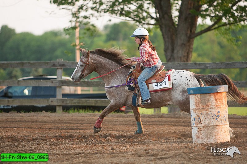 4H-Fn-Shw-09_0985.jpg