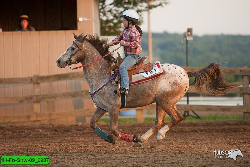 4H-Fn-Shw-09_0987.jpg