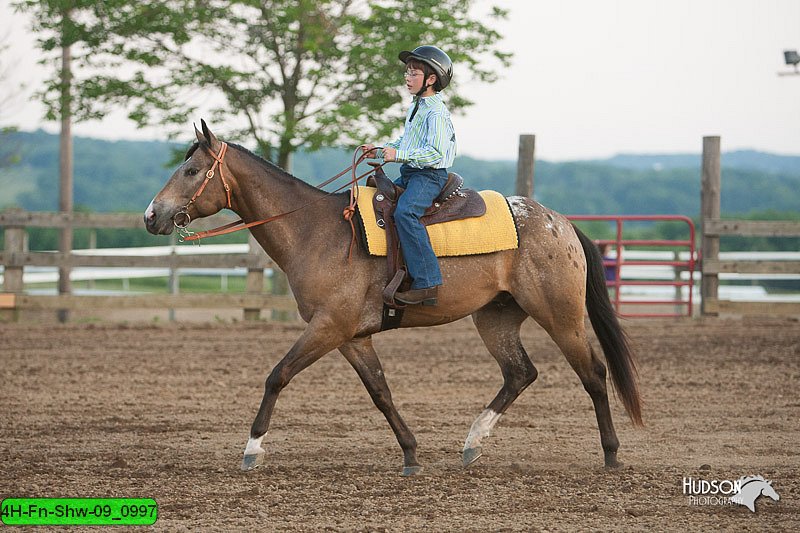 4H-Fn-Shw-09_0997.jpg