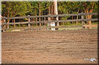 4H-Fn-Shw-09_0988.jpg
