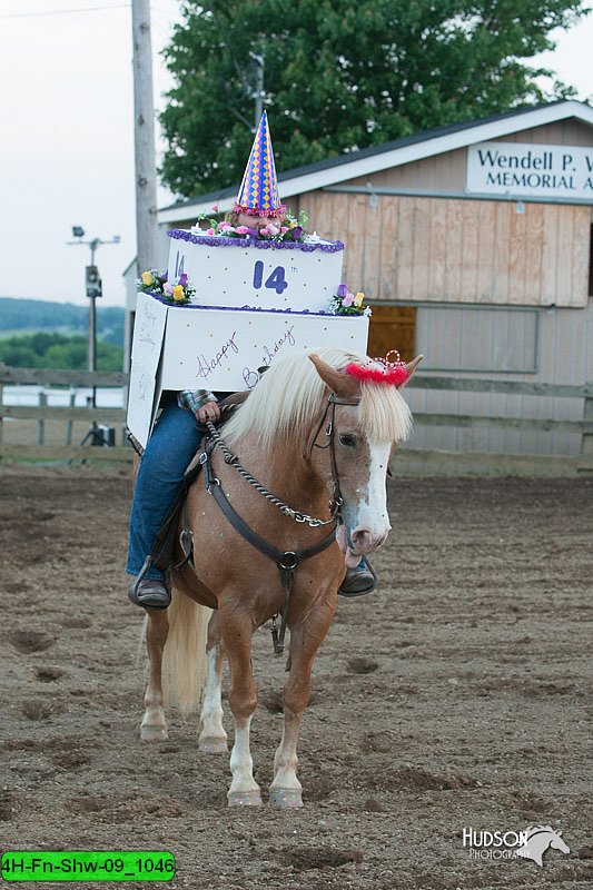 4H-Fn-Shw-09_1046.jpg