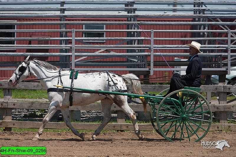 4H-Fn-Shw-09_0256.jpg