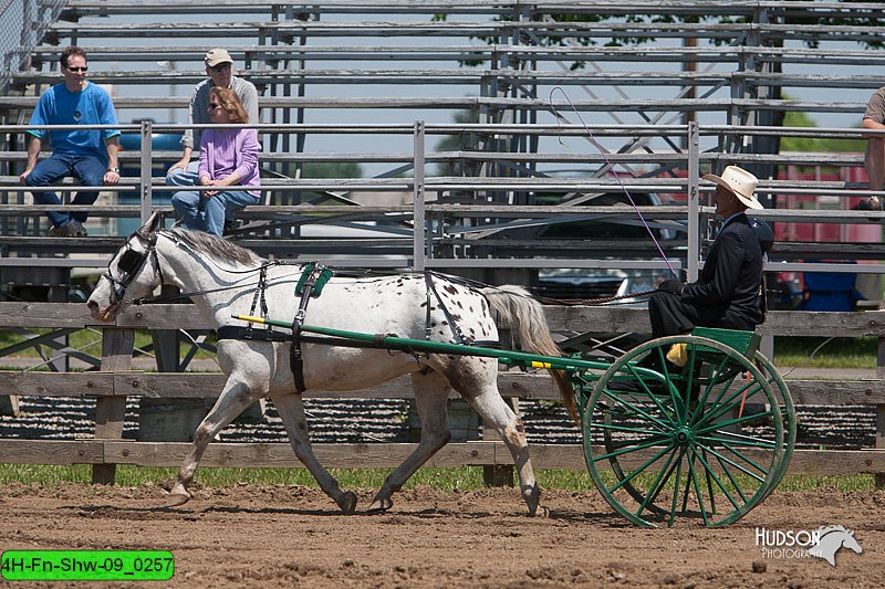4H-Fn-Shw-09_0257.jpg