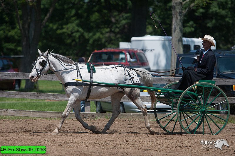 4H-Fn-Shw-09_0258.jpg